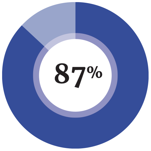 Pie chart 87%