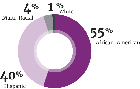 Program Data: Ethnicity pie chart