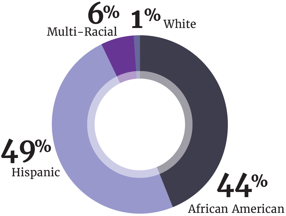 2024 Ethnicity data graphic 2024 Ethnicity data graphic
